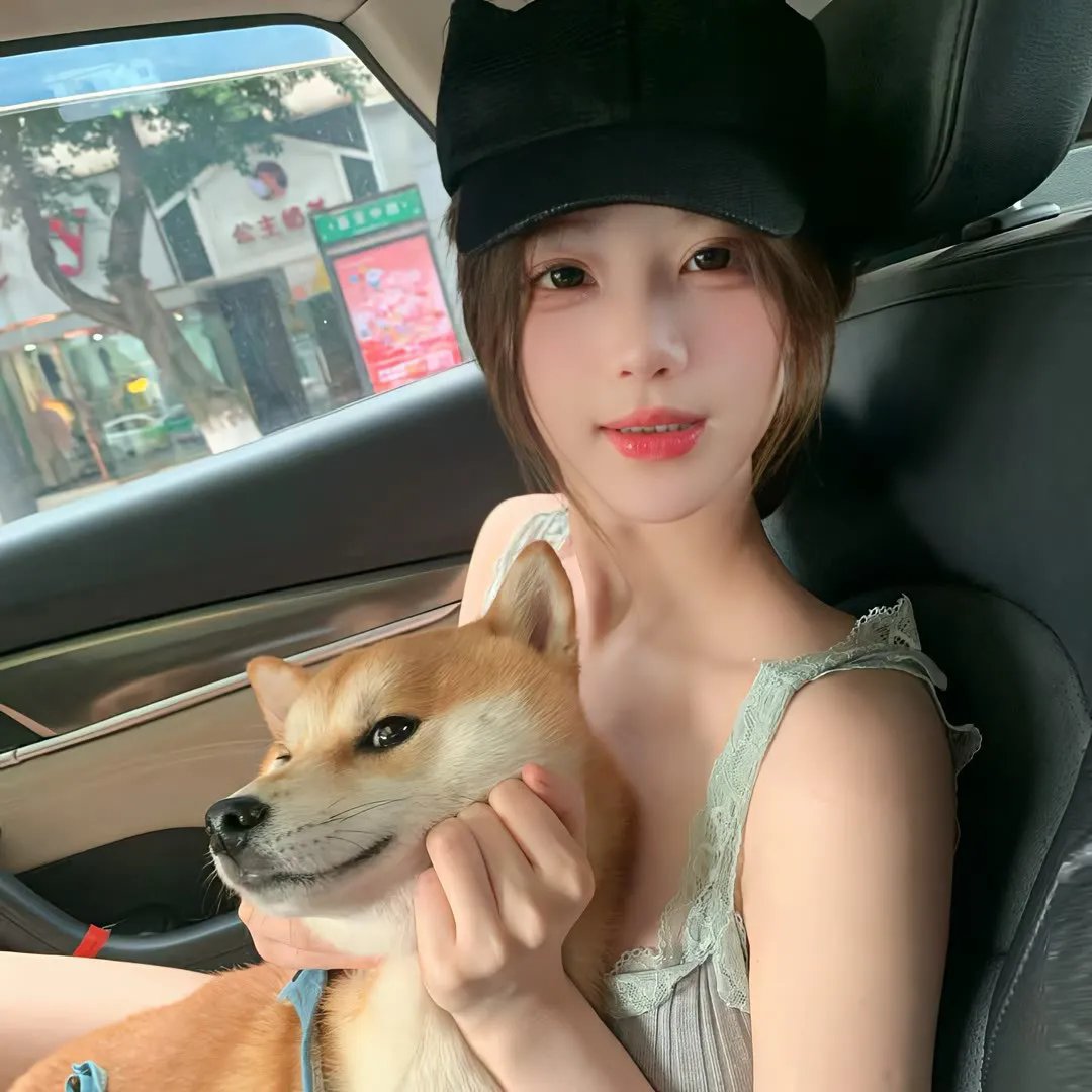 苍蝇